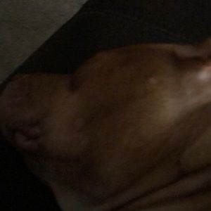 Meet your Posher, Hoai